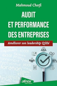 Audit et performance des entreprises: Améliorer son leadership QSEé
