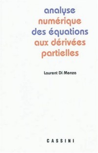 Analyse numérique des équations aux dérivées partielles