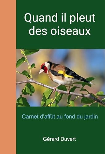 Quand il pleut des oiseaux: Carnet d'affût au fond du jardin