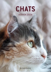 Chats - Agenda 2024