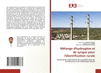 Mélange d'hydrogène et de syngaz pour l'électrification rurale: Potentiel de l'hybridation de la gazéification de la biomasse et de l'électrolyse solaire