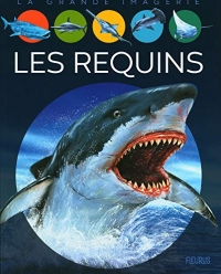 Les requins