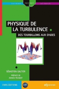 Physique de la turbulence: Des tourbillons aux ondes