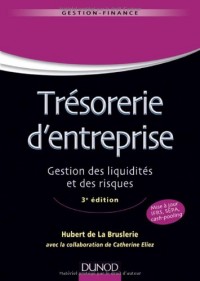 Trésorerie d'entreprise - 3e édition - Gestion des liquidités et des risques