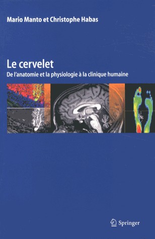 Le cervelet : De l'anatomie et la physiologie à la clinique humaine