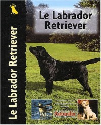 Le Labrador Retriever