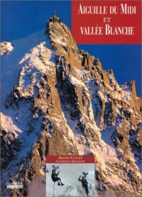 Aiguille du Midi et la Vallée Blanche