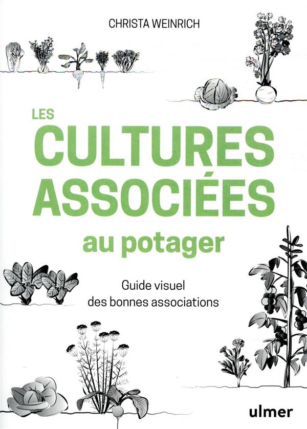 Les cultures associées au potager - Guide visuel des bonnes associations
