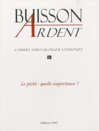 Cahiers Saint-Silouane l'Athonite, N° 16 : Le péché : quelle importance ?