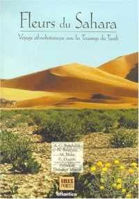 Fleurs du sahara