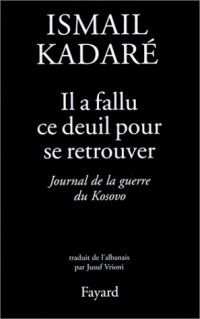 Il a fallu ce deuil pour se retrouver : Journal du Kosovo, suivi de quelques lettres et articles