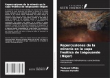 Repercusiones de la minería en la capa freática de Izégouande (Níger): Funcionamiento hidrodinámico y características hidroquímicas