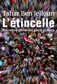 L'étincelle: Révoltes dans les pays arabes