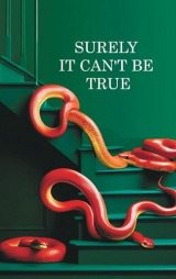 Surely it can't be True: A True Story of Struggle, Success, and Survival in Business and Life