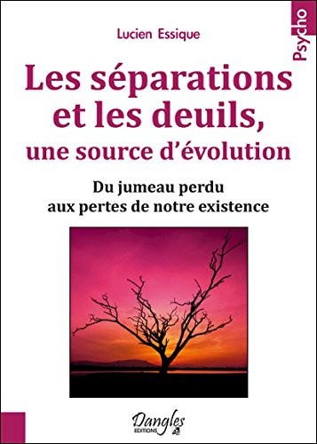 Les séparations et les deuils, une source d'évolution - Du jumeau perdu aux pertes de notre existence