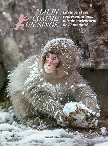 Malin comme un singe: Le singe et ses représentations, miroir caricatural de l'humanité