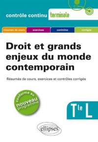 Droit et Grands Enjeux du Monde Contemporain Terminale L Nouveau Programme