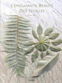 L'Emouvante beauté des feuilles