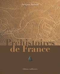 PREHISTOIRE DE FRANCE -1000.000 -7000