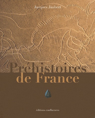 PREHISTOIRE DE FRANCE -1000.000 -7000