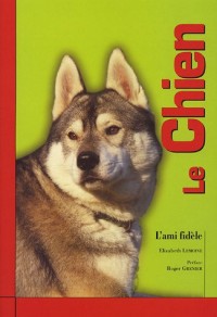 Le Chien : L'ami fidèle
