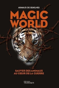 Magic world