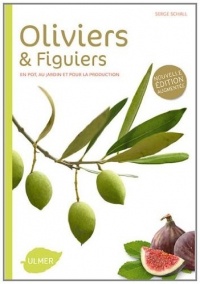 Oliviers et figuiers (NE). En pot, en jardin et pour la production