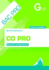 Bac Pro commerce : Sujets d'examen, entraînement à la sous-épreuve