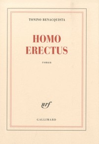 Homo erectus