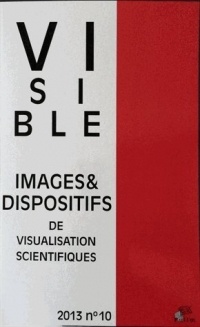 Visible, N° 10/2013 : Rhétorique et visualisation scientifique