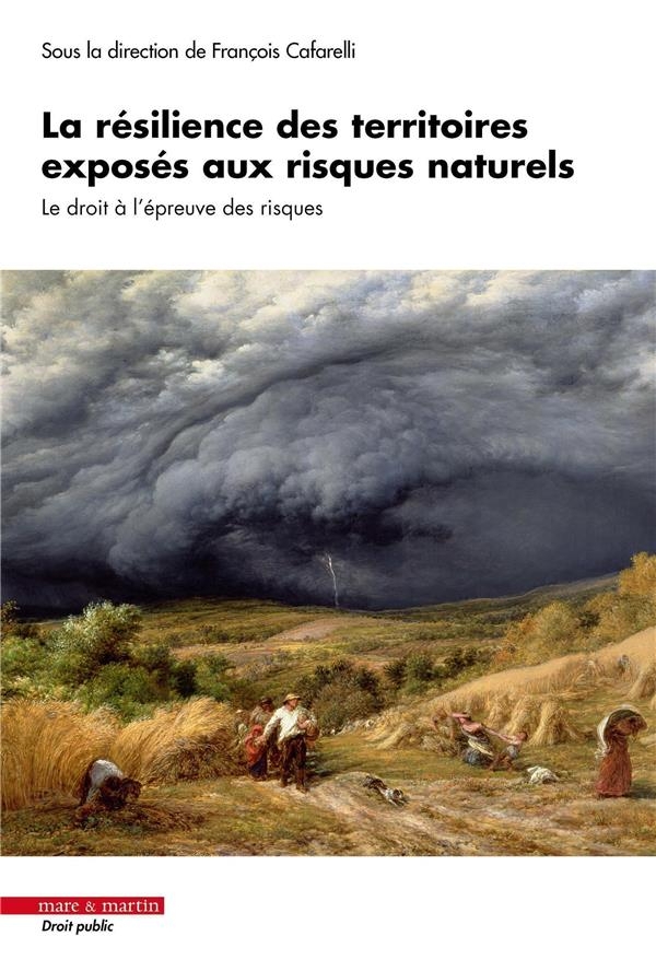 La résilience des territoires exposés aux risques naturels: Le droit à l'épreuve des risques