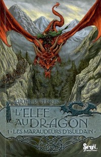 Elfe au Dragon T 1 les Maraudeurs d'Isuldain