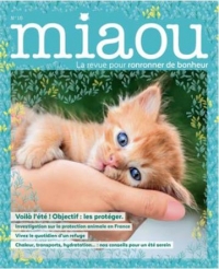 Miaou 15