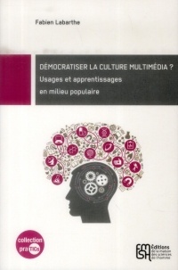 Démocratiser la culture multimédia ? : Usages et apprentissages en milieu populaire