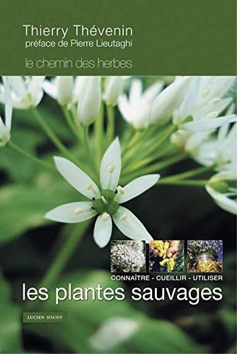 Les plantes sauvages : Connaître, cueillir et utiliser
