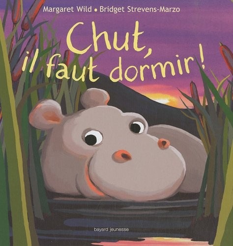 Chut il faut dormir !