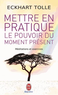 Mettre en pratique le pouvoir du moment présent : Enseignements essentiels, méditations et exercices pour jouir d'une vie libérée