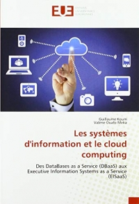 Les systèmes d'information et le cloud computing: Des DataBases as a Service (DBaaS) aux Executive Information Systems as a Service (EISaaS)