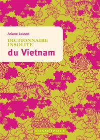 Dictionnaire insolite du Vietnam