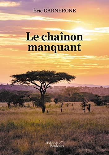 Le chaînon manquant