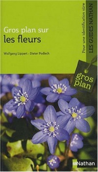 GROS PLAN SUR LES FLEURS