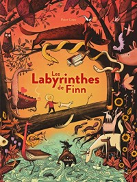 Les labyrinthes de Finn