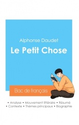 Réussir son Bac de français 2024 : Analyse du roman Le Petit Chose de Alphonse Daudet