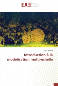 Introduction à la modélisation multi-échelle