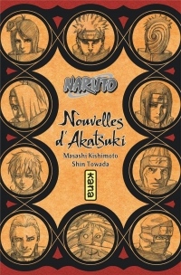 Naruto roman, tome 11