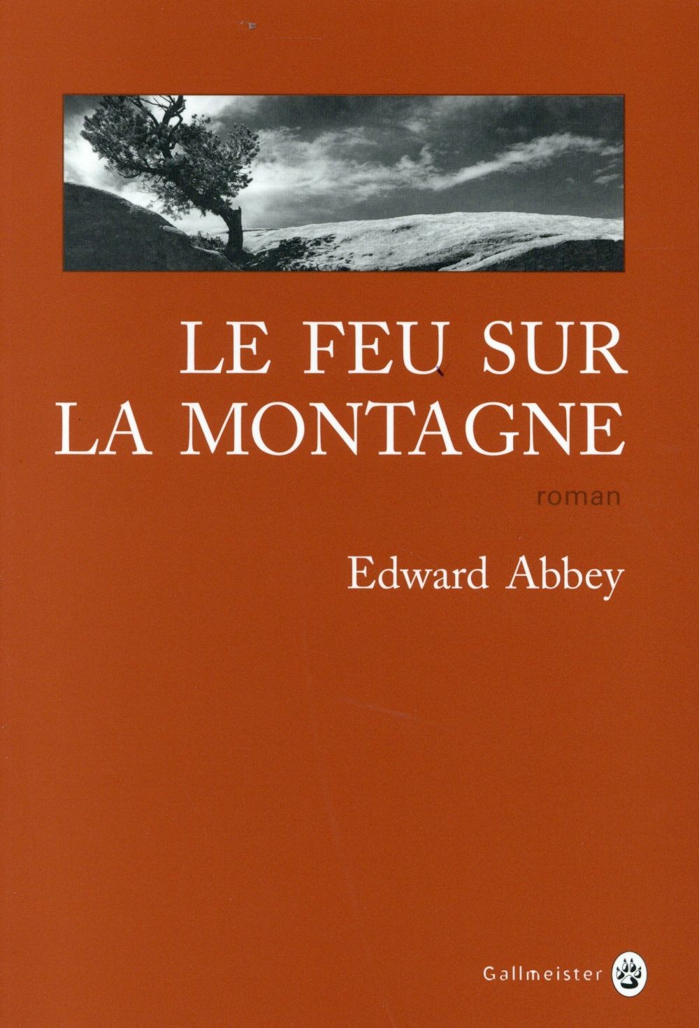 Le feu sur la montagne