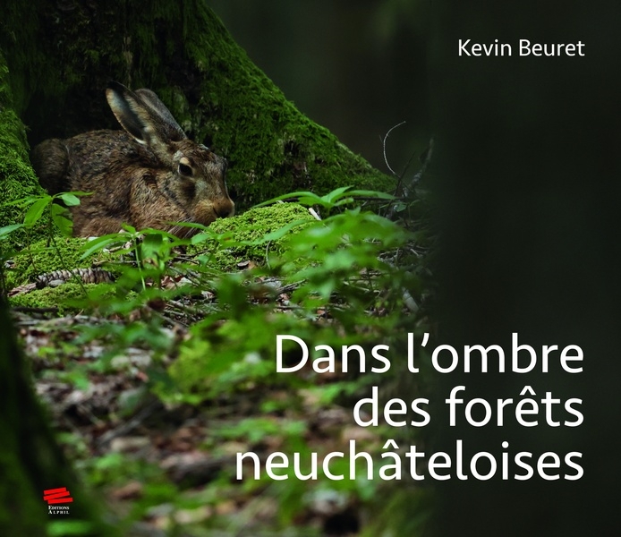 Dans l'ombre des forêts neuchâteloises