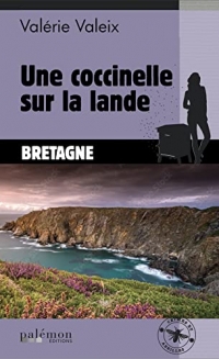 Une coccinelle sur la lande