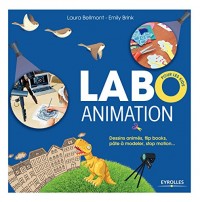 Labo animation: Dessins animés, flipbooks, pâte à modeler, stop motion...