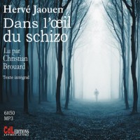 Dans l'oeil du schizo (1CD audio MP3)